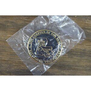 1996 Bellsouth Volunteers Pin Member Chapter of Year Pioneers Award Vintage